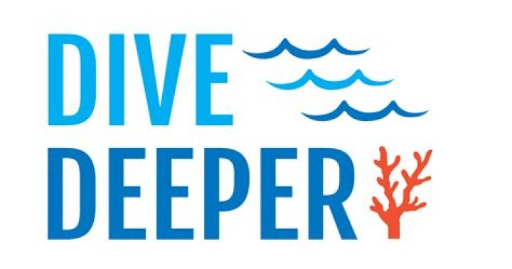 A Deeper Dive Into Their Impact And Success