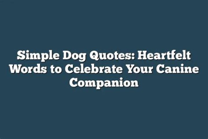 A Heartfelt Letter From Your Canine Companion: A Message From Your Furry Friend