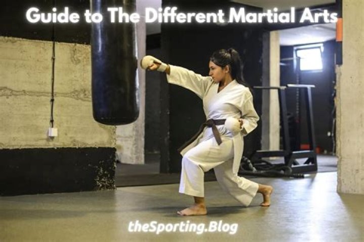 A Journey Of Martial Arts And Cinematic Triumph