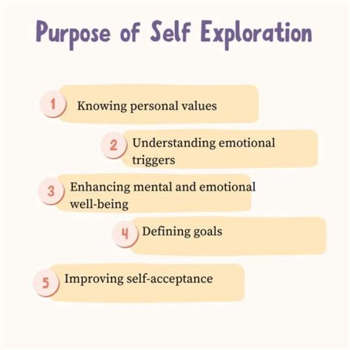 An Exploration For The Curious