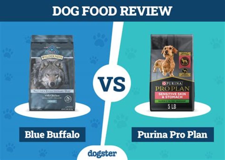 Comprehensive Comparison: Purina Pro Plan Vs. Blue Buffalo Dog Food