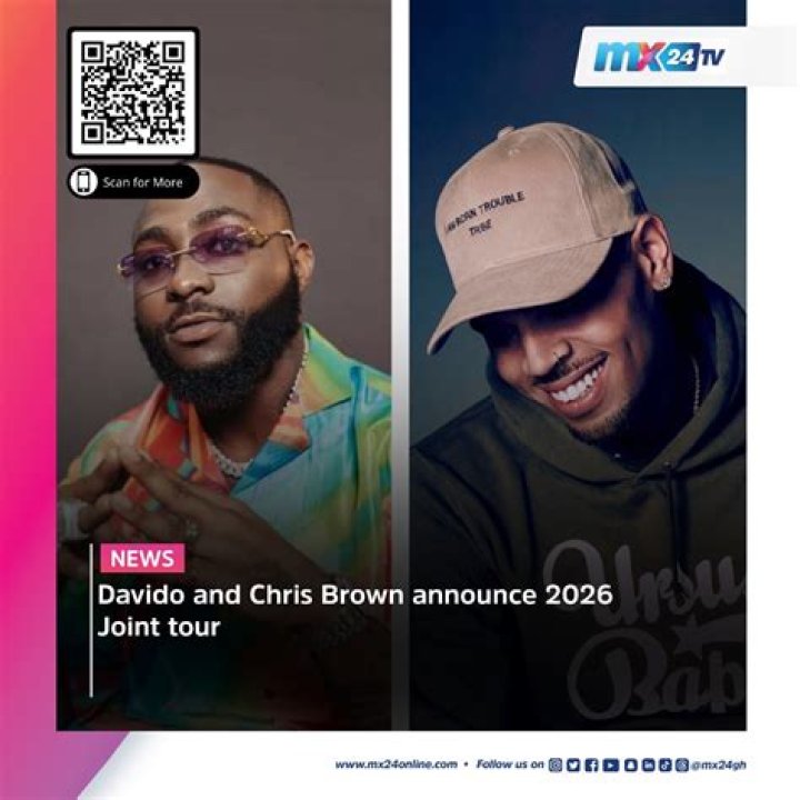 Davido And Chris Brown: Who's The Wealthier Musician?
