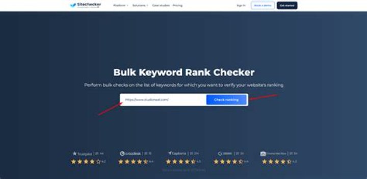 Easily Monitor Your Keyword Rank With Our Tool