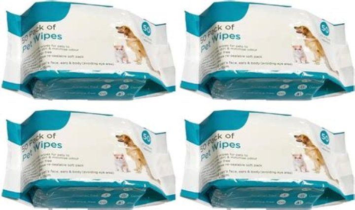 Essential Wipes For Spotless Dog Paws: The Ultimate Guide