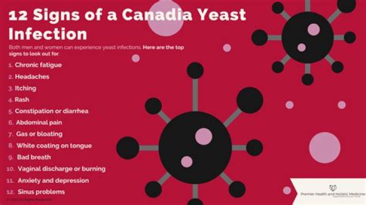 Exploring The Connection: Can Bidets Cause Yeast Infections?