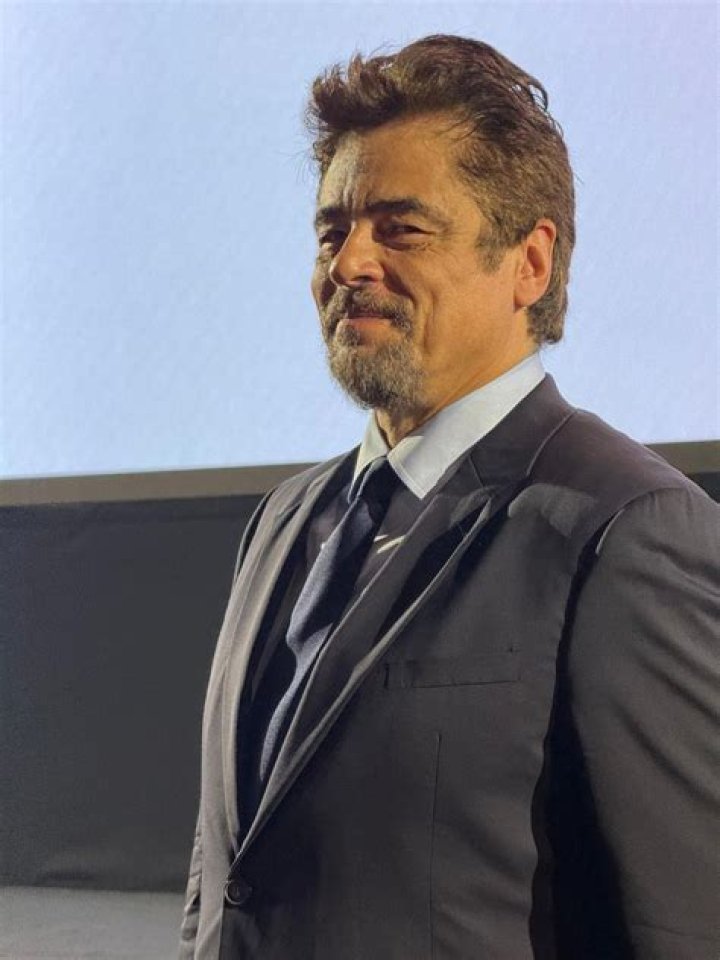 Exploring The Multifaceted Career Of Benicio Del Toro