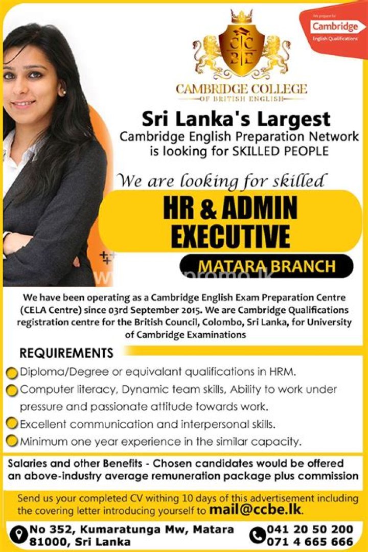 Find The Best SEO Expert In Sri Lanka For Your Business
