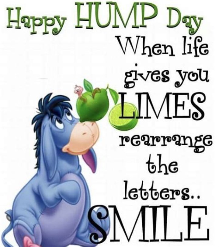 Happy Hump Day Quotes And Images