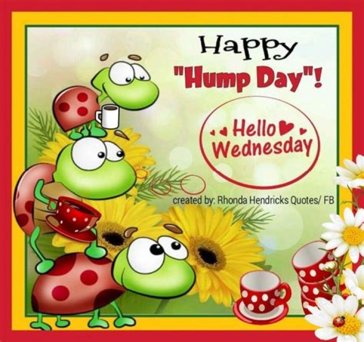 Happy Hump Day Wednesday Images