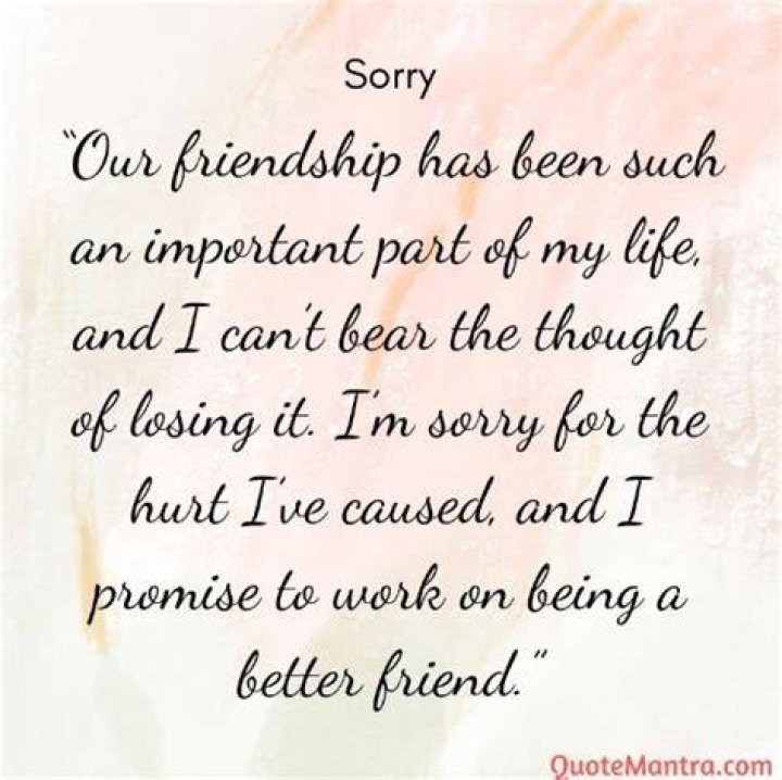 I'm Sorry I Hurt U Quotes
