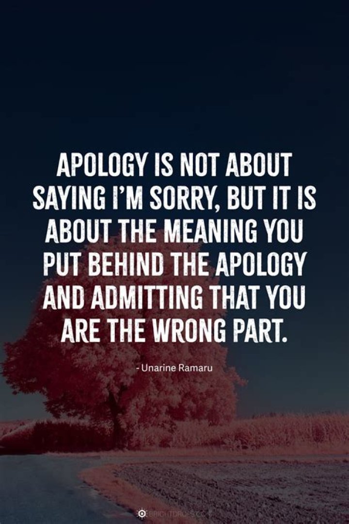 I M Sorry Quotes