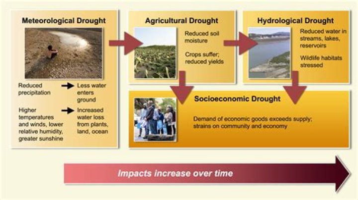Insights Into The Devastating Cali Nate Crash: Causes And Consequences