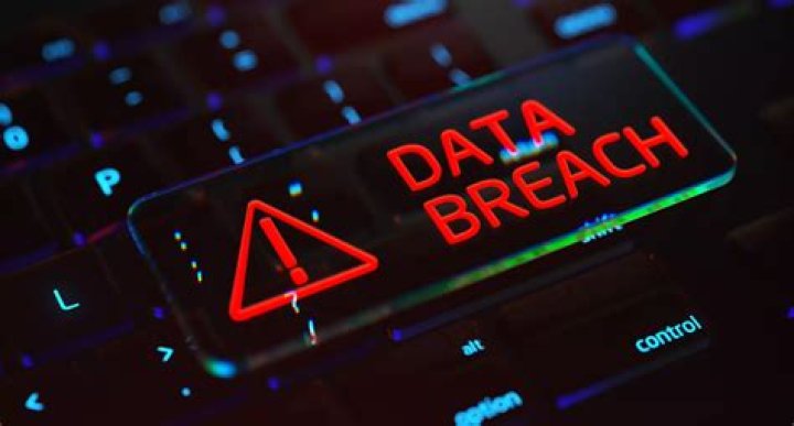 Jellybeanbrains Data Breach: Leaked Information Exposed