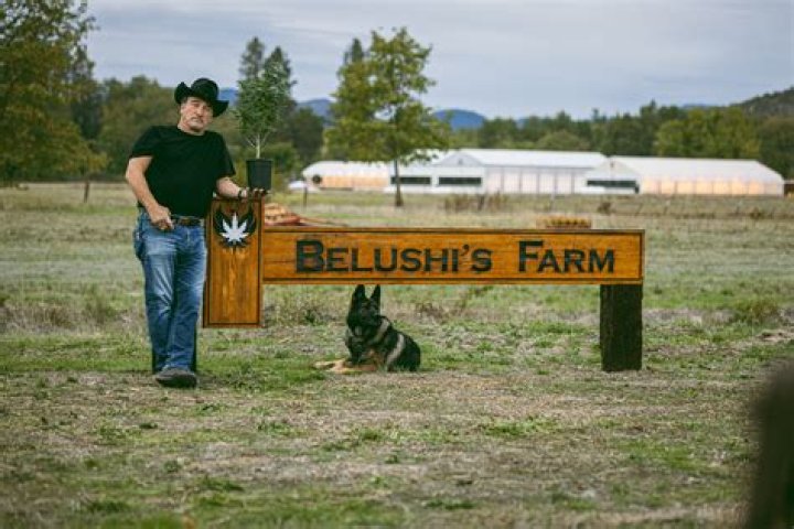 Jim Belushi Farm Net Worth