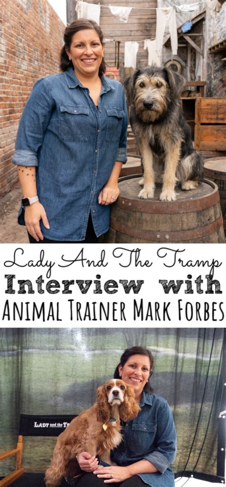 Learn From The Renowned Animal Trainer Mark Forbes