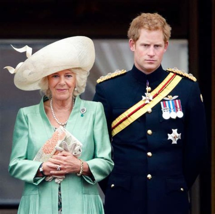 Queen Camilla And Prince Harry's Relationship: A Complex Tale Of Rivalry And Reconciliation