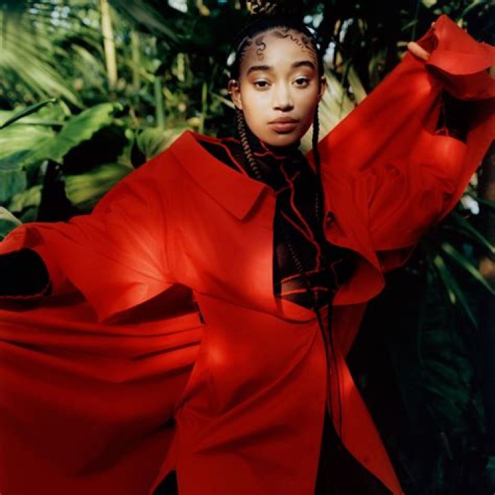 The Ancestry Of Amandla Stenberg: Uncovering Her Danish Roots