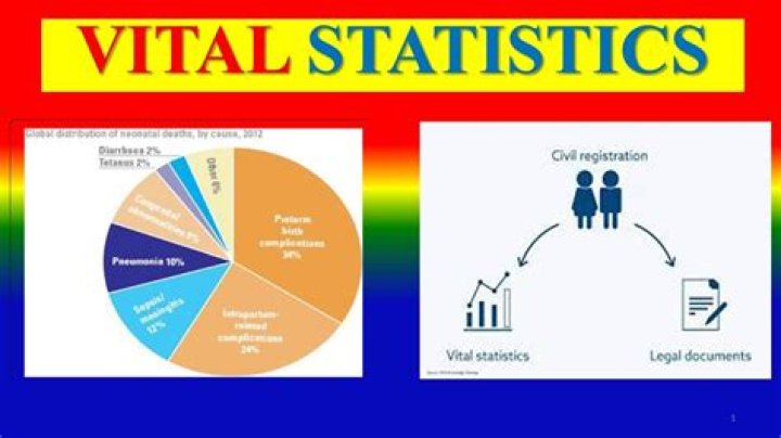 The TV Star's Vital Statistics