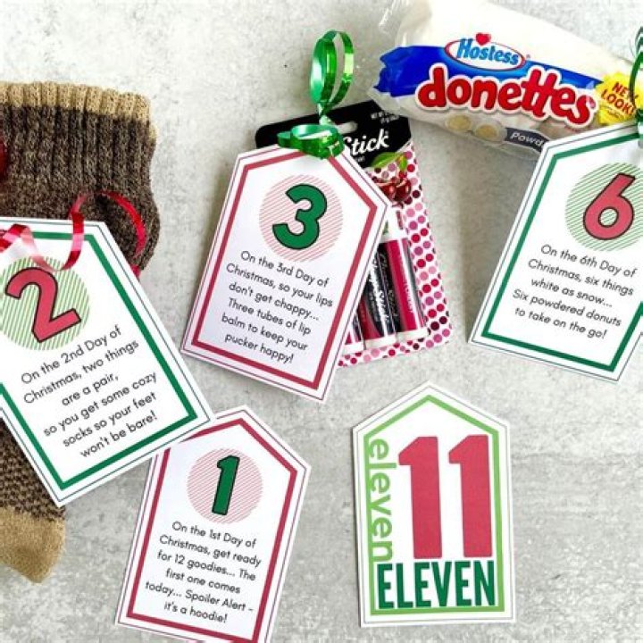 Top Picks For Your Holiday Season: 12 Days Of Christmas Gifts