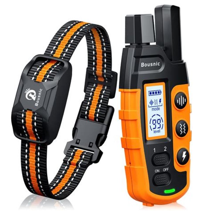 Top-Rated Dog Collars For Large Dogs: Ultimate Comfort And Control