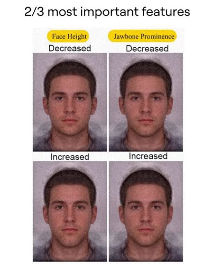 Unlock Your Dreamy Face: The Ultimate Guide To Achieve Your Ideal Facial Features