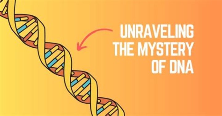 Unraveling The Connection: Are Nancy Sinatra And Frank Sinatra Related?