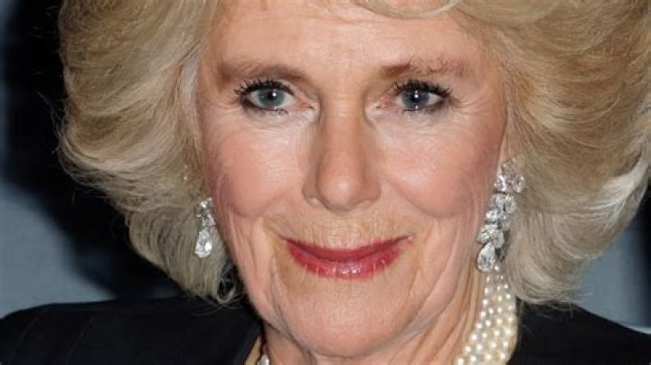 Unraveling The Mystery Of Camilla Leaked Of: What You Need To Know