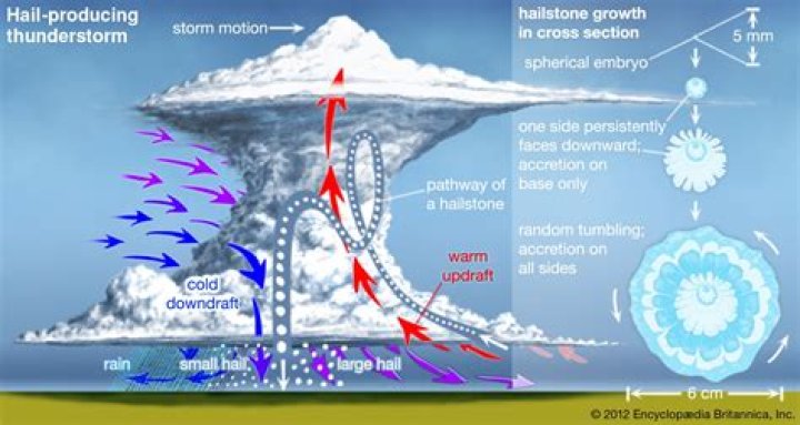 Unveiling The Enigmatic World Of Agnes Hailstone: Uncover Surprising Discoveries!