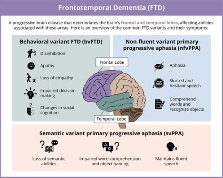 Unveiling The Journey: Frontotemporal Dementia Stories Of Hope And Resilience