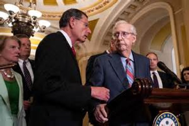 Unveiling The Private World Of Mitch McConnell's Children