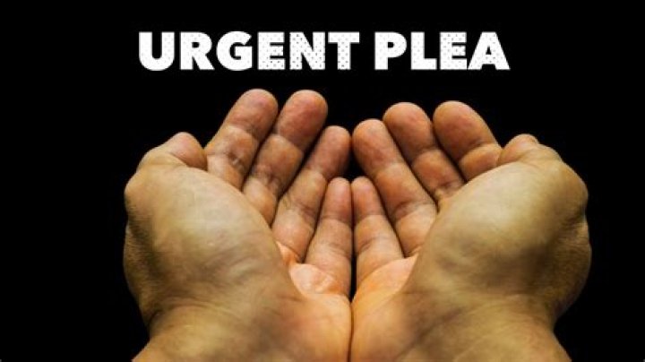Urgent Plea: Desperation Unleashed In 