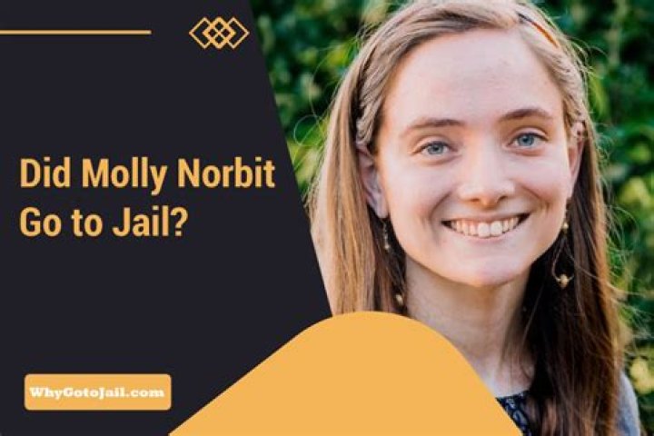 Why Molly Norbit Got Arrested: The Truth Behind Her Incarceration