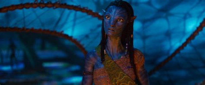 Zoe Saldana, The Talented Sibling: Exploring Her Sister's Shadow